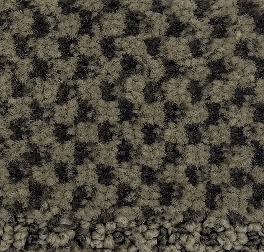 Phalaenopsis G1163-X3609 - Phalaenopsis Broadloom