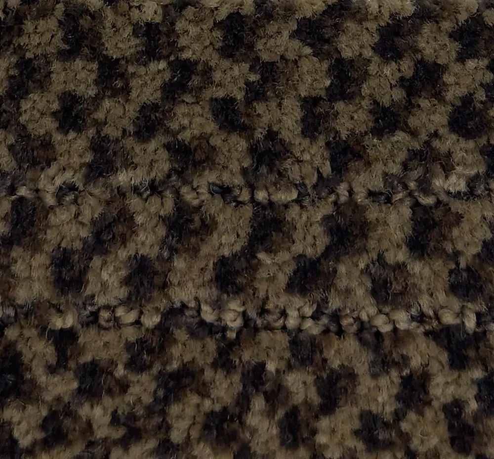 Phalaenopsis G1163-X5997 - Phalaenopsis Broadloom