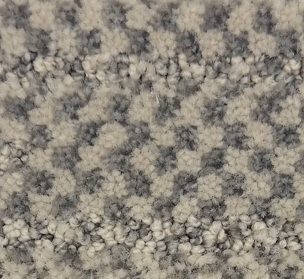 Phalaenopsis G1163-X6537 - Phalaenopsis Broadloom