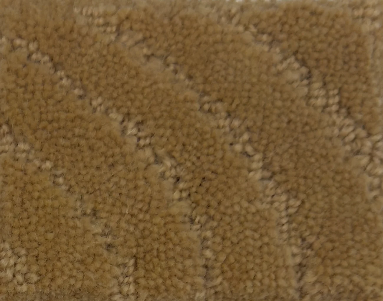 Taree G399A-B225 - Taree Broadloom