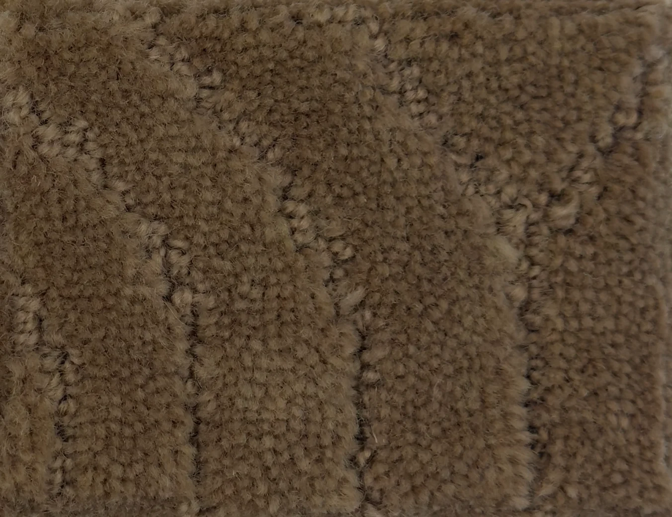 Taree G399A-B727 - Taree Broadloom