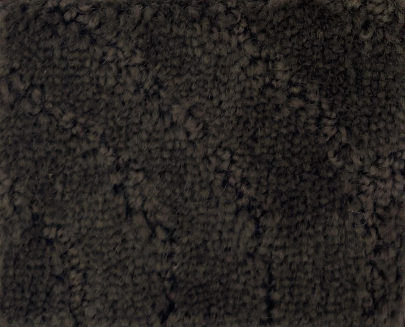 Taree G399A-H105D - Taree Broadloom