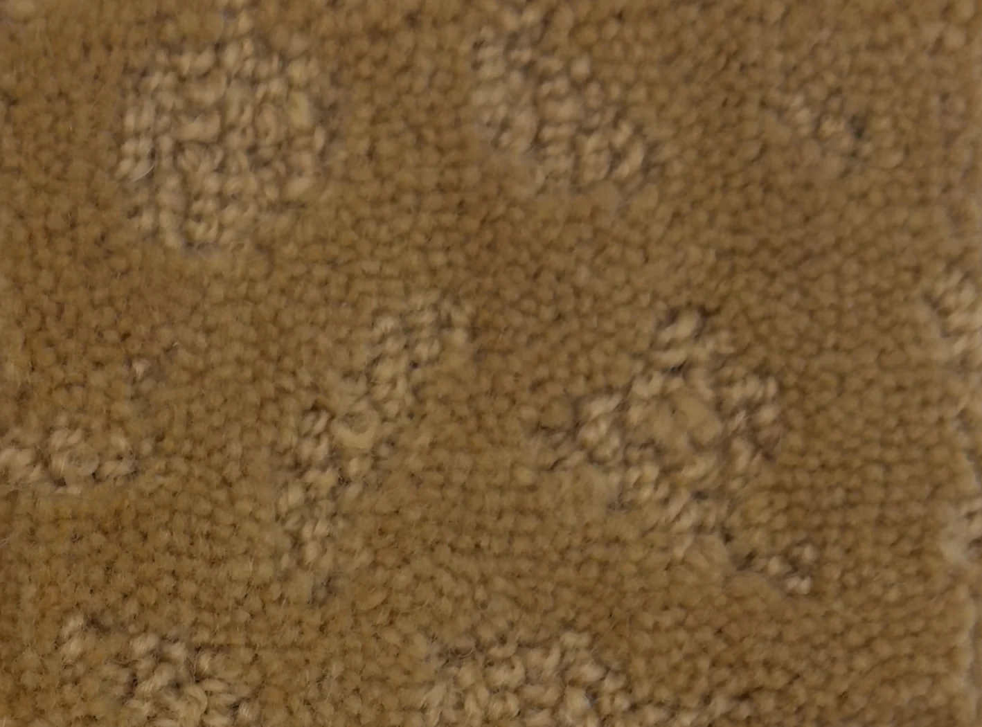 Taree G414A-B225 - Taree Broadloom