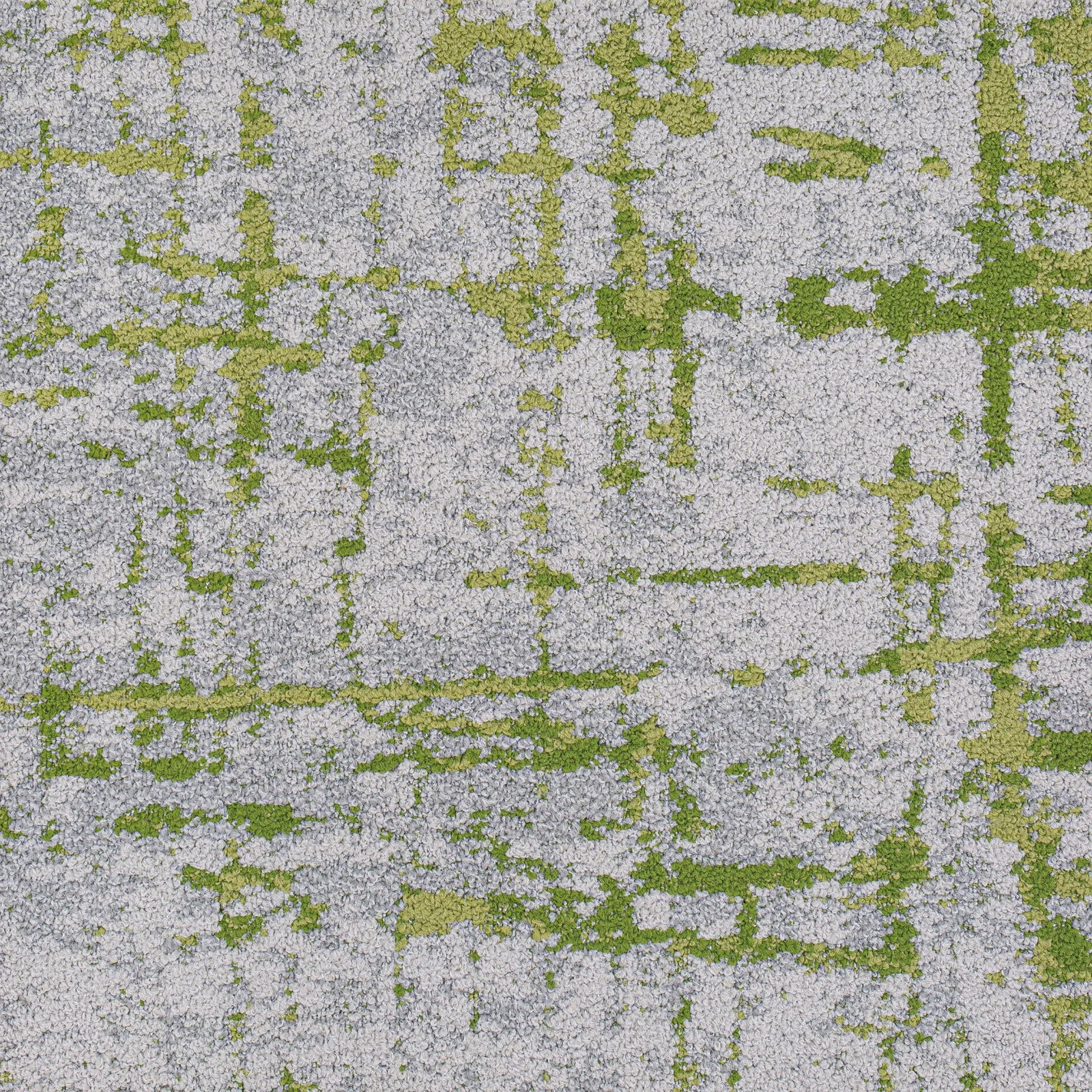 Timber 6