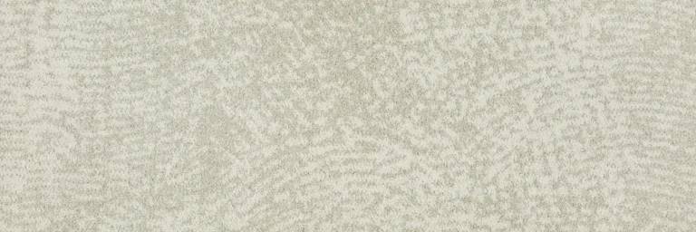 Wavelet A1