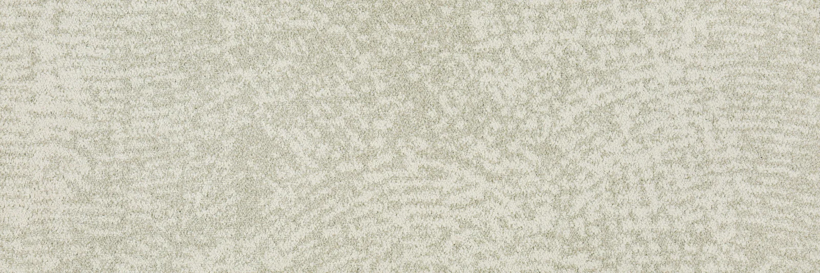 Wavelet A1
