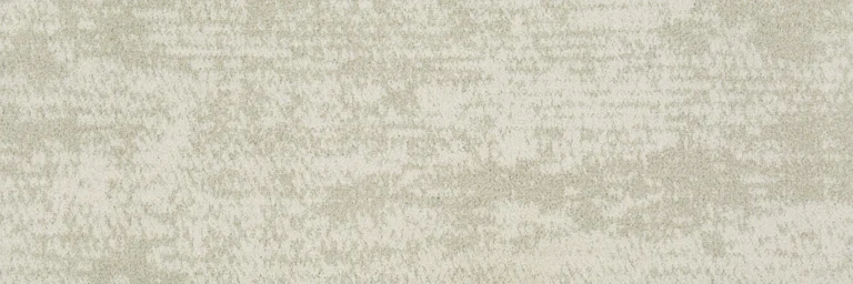 Wavelet B1