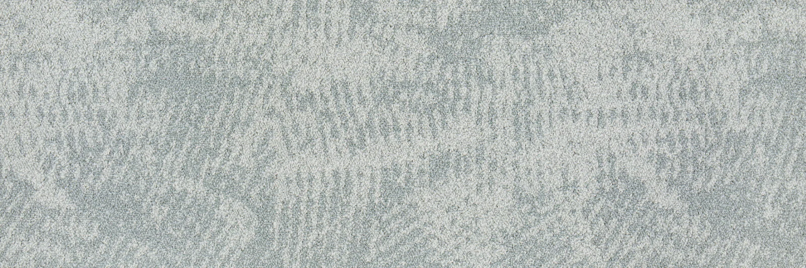 Wavelet C2
