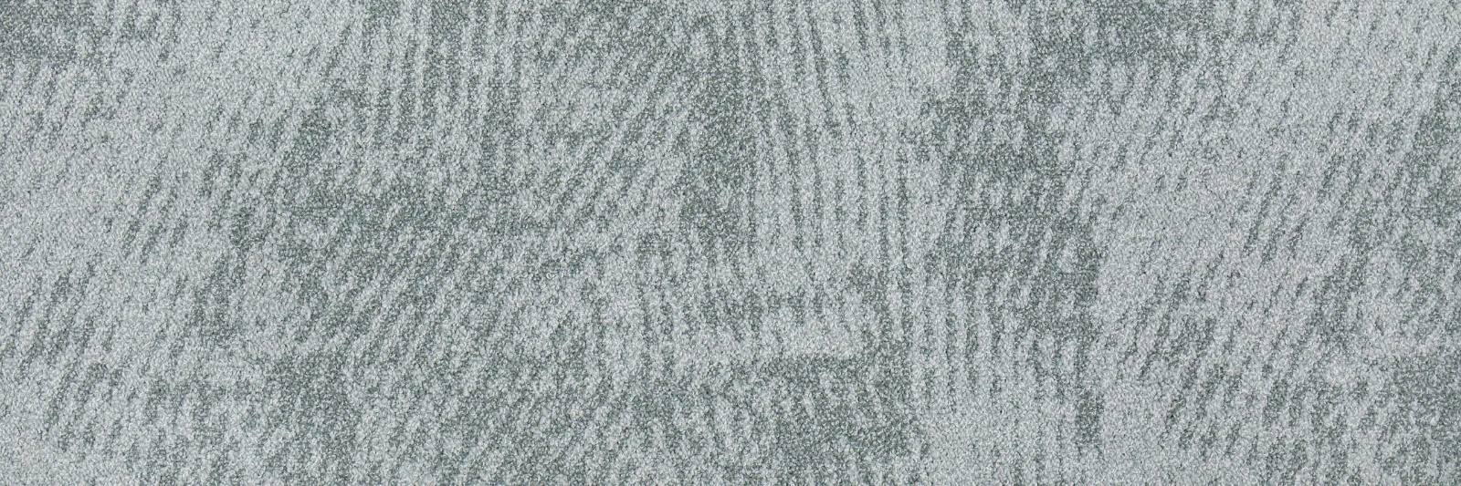 Wavelet C4